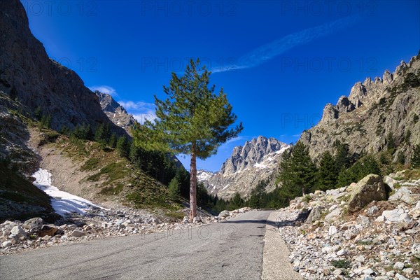 Restonica Valley near Corte