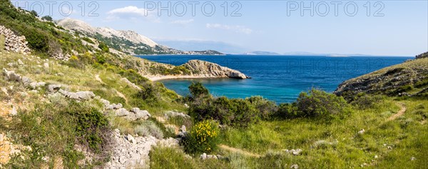 Rugged coastline