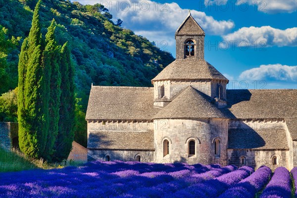 Cistercian Abbey Abbaye Notre-Dame de Senanque