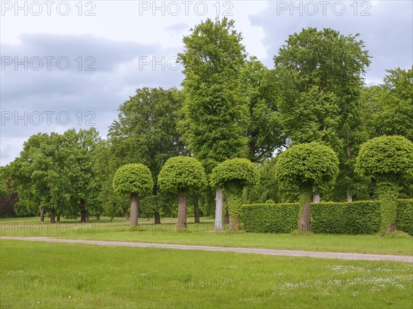 Park Sanssouci in Potsdam