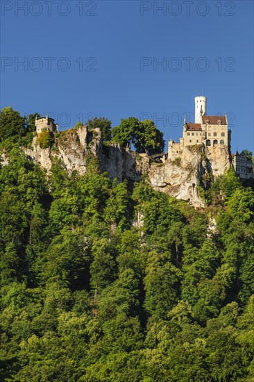 Lichtenstein Castle