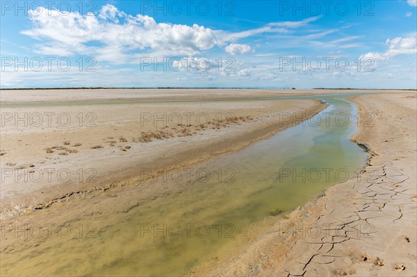 Typical landscape in a lagoon of the Rhone delta in the Camargue. Saintes Maries de la Mer