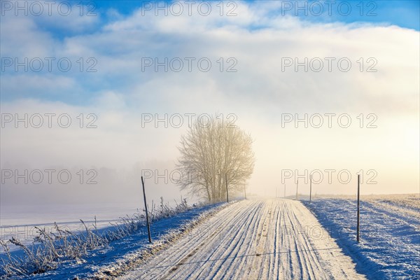 Slippery winter country road with with snow and snow sticks in a foggy landscape in Sweden
