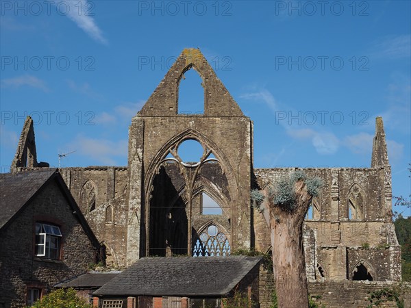 Tintern Abbey