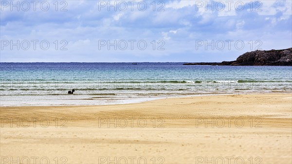 Ardroil beach