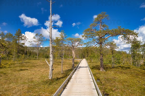 Fulufjaellet National Park