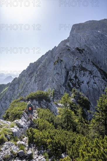 Mountaineer on the Mannlsteig