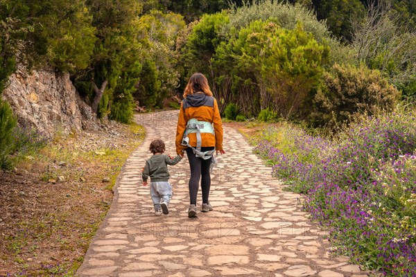 Mother and son on the trail up to the top of Garajonay in La Gomera