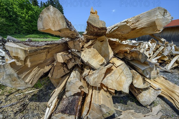 Split firewood