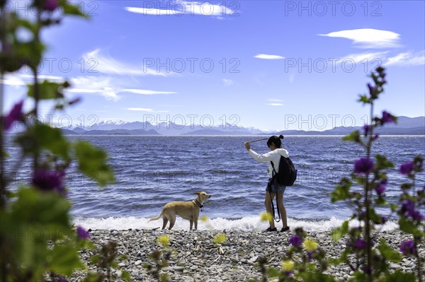 Young woman plays with her greyhound dog on the lake shore. She throws a stick at the dog