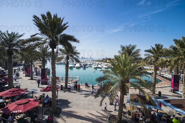 Palm fringed walkway on Marina Mall