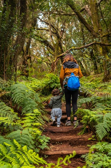 Mother and son climbing stairs on the trail in the mossy tree forest of Garajonay National Park