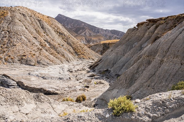 Las Salinas