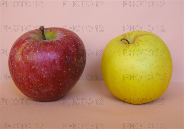 Red and yellow apple fruit