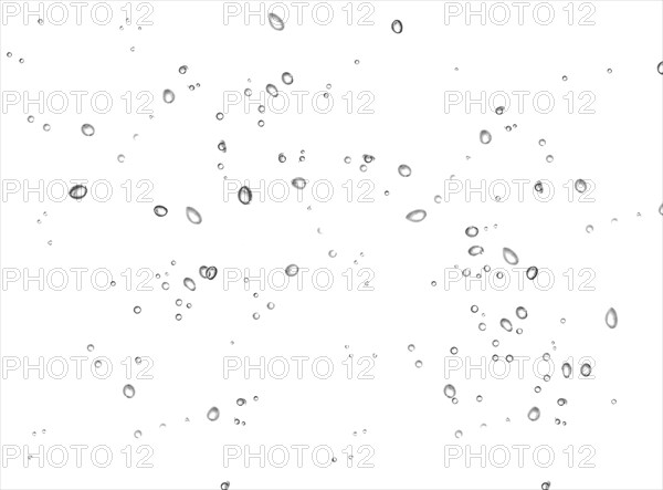 Cropped water drops raindrops rainy mist small droplets drops on transparent translucent background