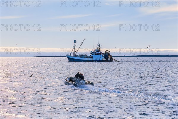 Men in a inflatable boat on a way to a fishing boat in the arctic sea