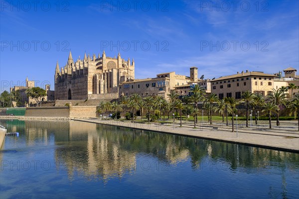 Palma Cathedral