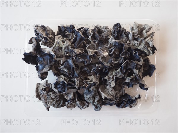 Chinese black fungus