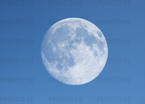 Full moon seen with telescope