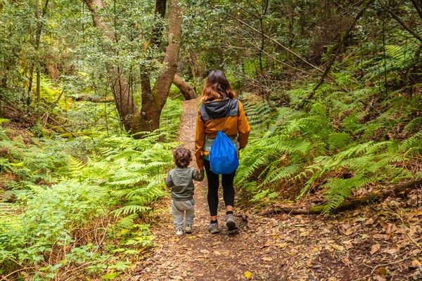 Mother and son hiking through Las Creces on the trail in the mossy tree forest of Garajonay National Park