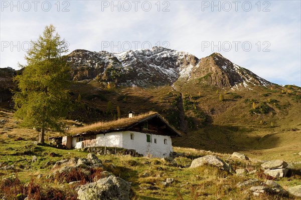 Traditional alpine hut with grass roof below the summit of Wildseeloder