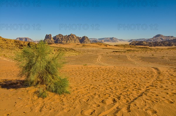 Mountainlandscape and desert in Wadi Rum