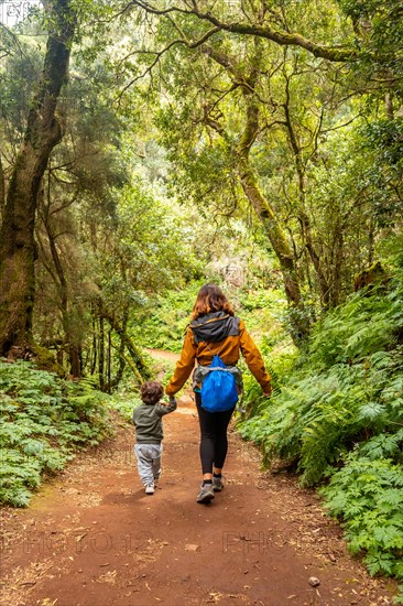 Mother and son on the trekking trail in the mossy tree forest of Garajonay National Park