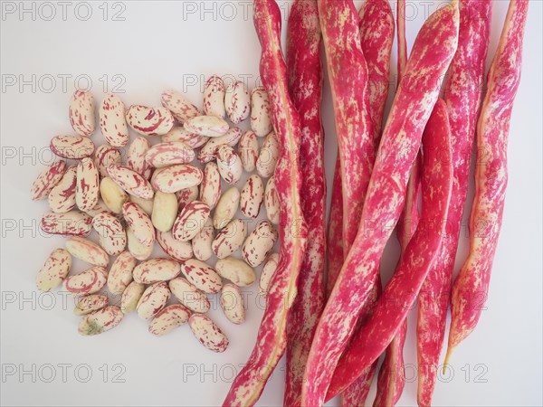 Crimson beans legumes vegetables food