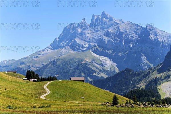 Dents du Midi mountain range