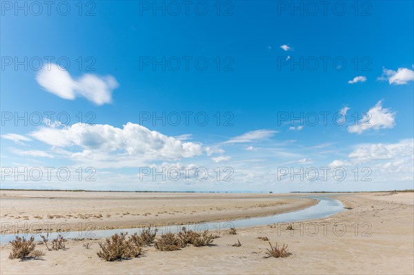 Typical landscape in a lagoon of the Rhone delta in the Camargue. Saintes Maries de la Mer