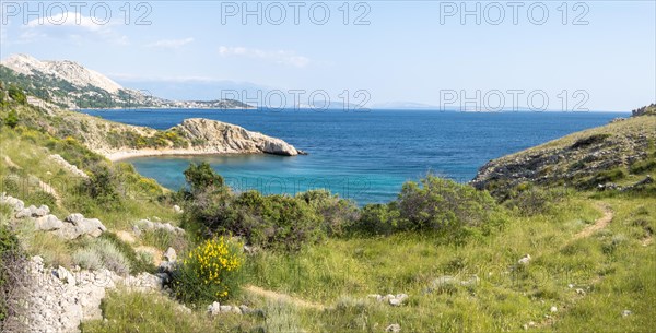 Rugged coastline