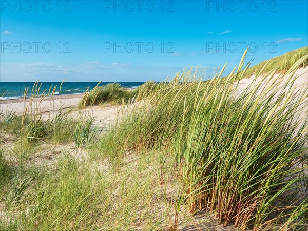 Summer day by the sea