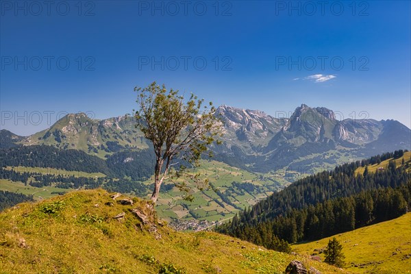 View of the Alpstein with Saentis