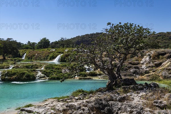 Turquoise waterfalls