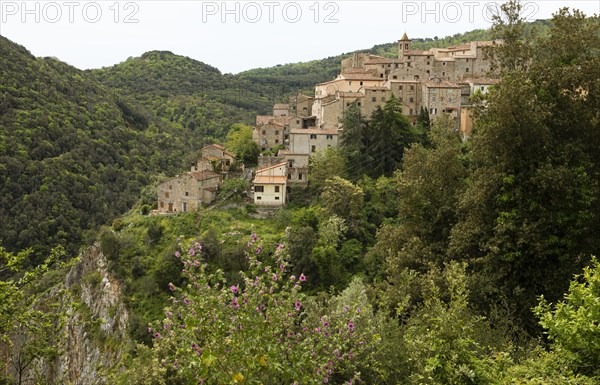 Town View Sassetta