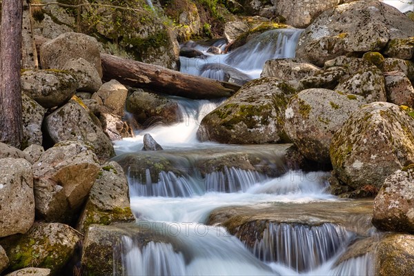 Small stream in the Restonica valley