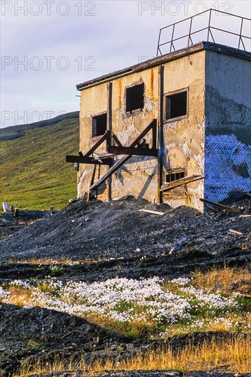 Old mine building on Spitsbergen with blooming cotton grass