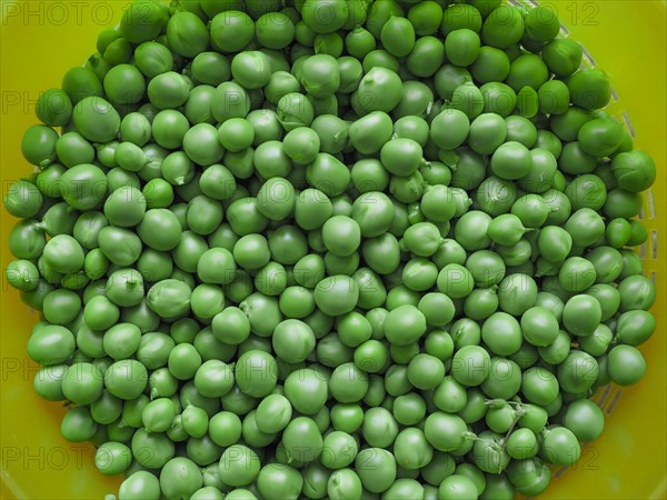 Peas legumes vegetables