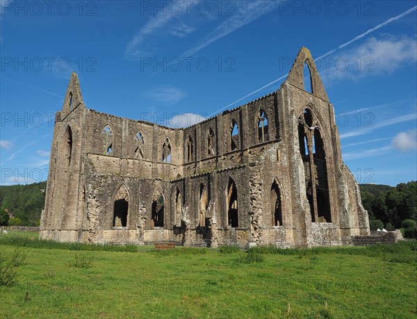 Tintern Abbey