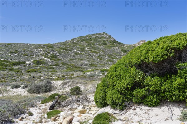 Cape Point nature reserve