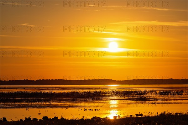 Sunset by a lake in summer