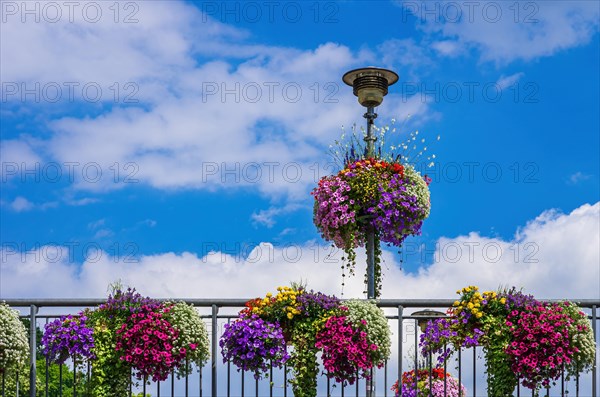 Decoration of colourful flowers on a bridge railing and a lamppost