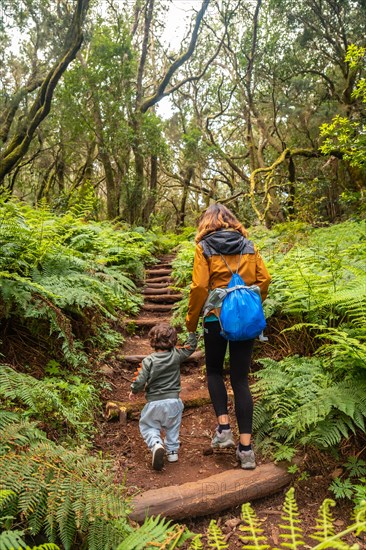 Mother and son climbing stairs on the trail in the mossy tree forest of Garajonay National Park