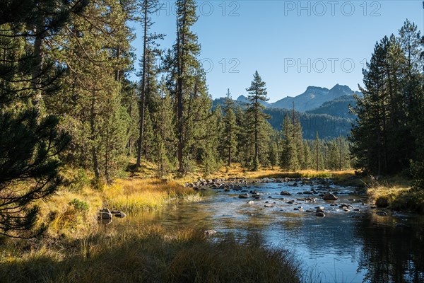 River at Praderas de Colomers