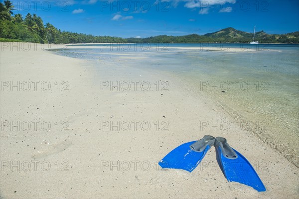 Flippers in the water of the blue lagoon