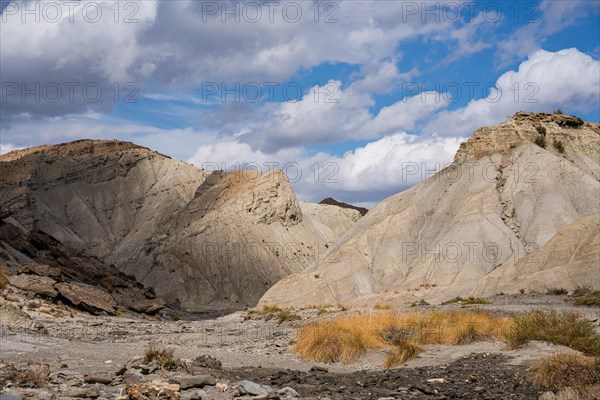 Las Salinas