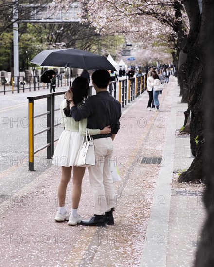 Couple with umbrella standing on the street taking a photo of themselves under cherry trees