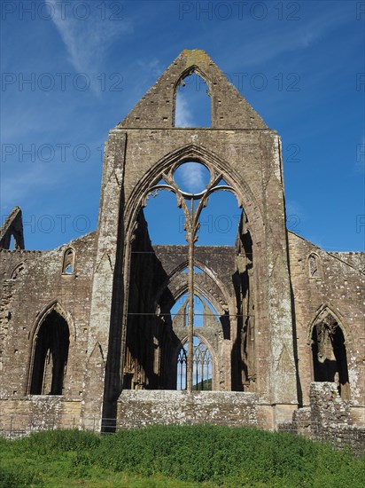 Tintern Abbey