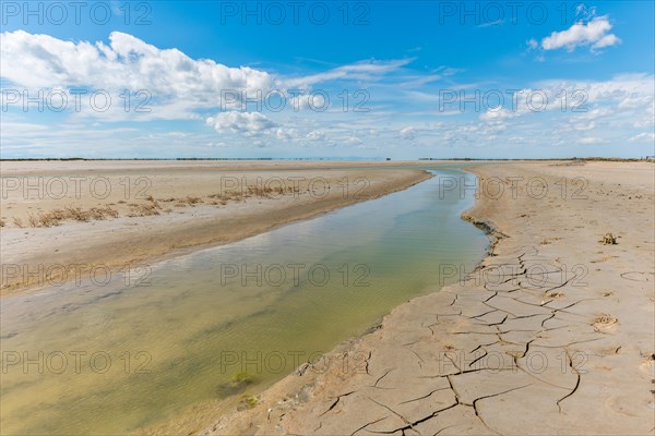 Typical landscape in a lagoon of the Rhone delta in the Camargue. Saintes Maries de la Mer