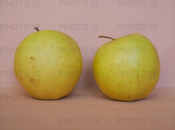 Yellow apple fruits